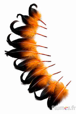 Anatra - 6-9 cm - azteco dorato-nero